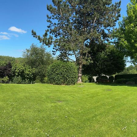 Les Tulipes Bed & Breakfast Antrain Exterior foto