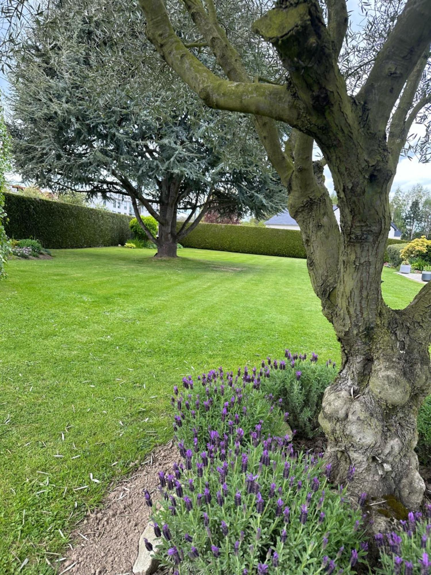 Les Tulipes Bed & Breakfast Antrain Exterior foto